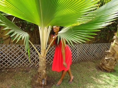 La petite robe Rouge « BYN French Challenge » DSC02931