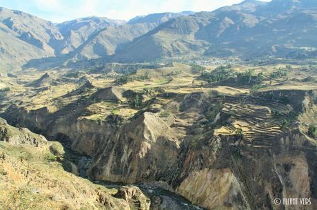 canyon del colca