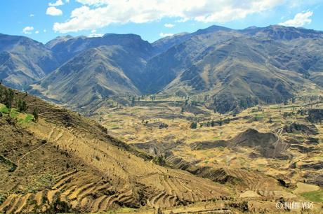 canyon del colca