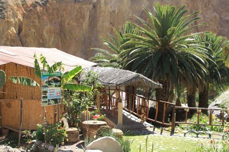 Paraiso Las Palmeras Lodge