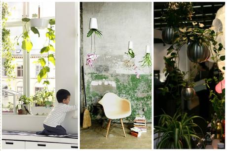 Plantes suspendues, Ikea, Boskke, Pa Design