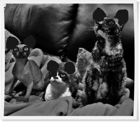 joyeux noel panda.jpg