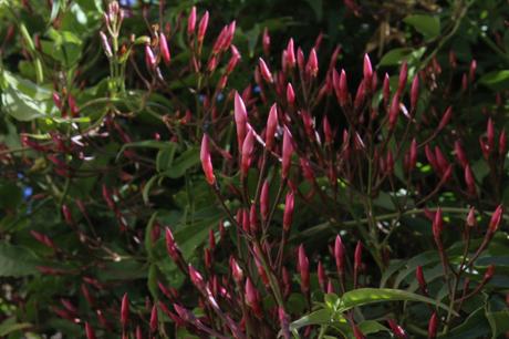 Un dimanche parfait !