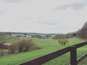 #belgomums fais pour