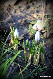 Un rayon de soleil...