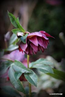 Un rayon de soleil...