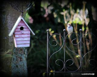 Un rayon de soleil...