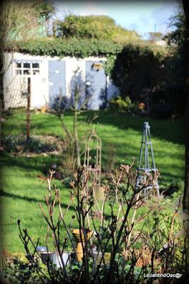 Un rayon de soleil...