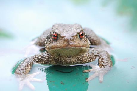 alignement des équinoxes
