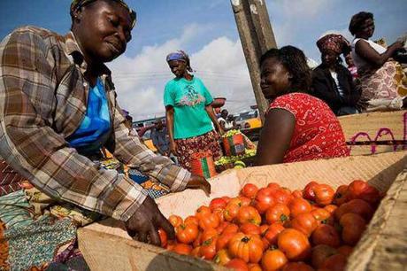 Ghana : une pénurie de tomates annoncée