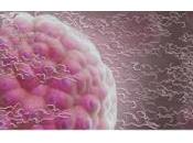 CELLULES SOUCHES: L'hydrogel permet endormir puis réveiller Central Science