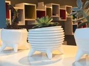 Imprimer pour plante