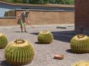 Biomimétisme, économie connaissance… voir