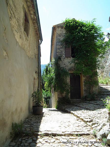 Cake au miel et au gingembre + Balade à Brantes