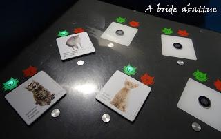 Chiens & chats, l'exposition de la Cité des Sciences et de l'Industrie