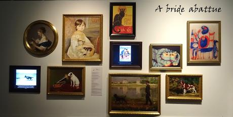 Chiens & chats, l'exposition de la Cité des Sciences et de l'Industrie