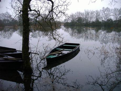 je passerai devant toutes les choses