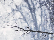 sorties mois Mars 2016