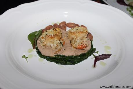 gratin de noix de St Jacques