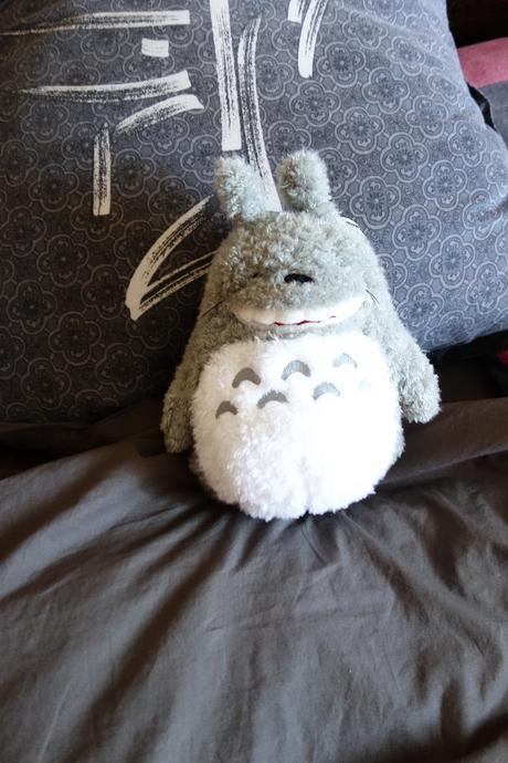 My-Neighbor-Totoro-snooze3