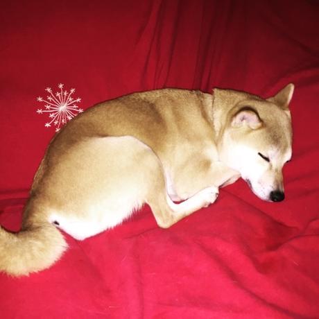 Instagram du mois de Février