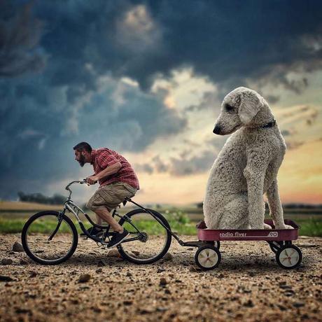 Ce photographe met en avant son chien dans des images incroyables !