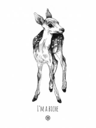 Les Petits Collectionneurs