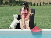 Chronique Chansons polaroids Lilimarche