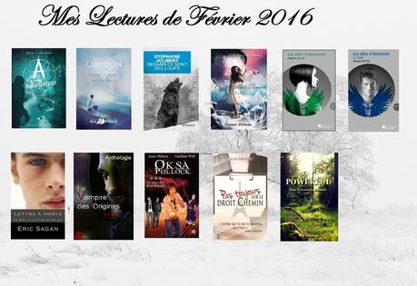 mes lectures février 2016