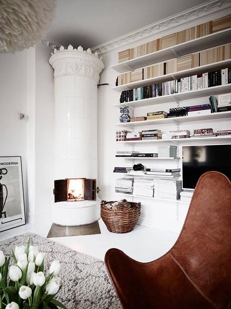 Images hétéroclites | elephant in the room