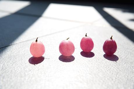 BEAUTE : Source de beauté et d’eau fraîche, la nouvelle gamme Vinosource de Caudalie Caudalie Vinosource Raisins-Grapes-300dpi