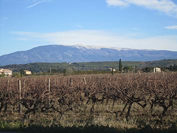 Les sœurs Vigneronnes* qui font rimer Passion et Innovation ! IMG_2510