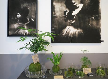 Boutique la Manufacture Toulouse blog