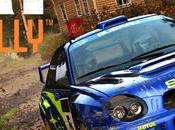 DiRT Rally meilleures séquences joueurs vidéo
