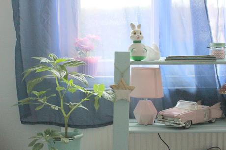 Bouts de Chez Nous #7