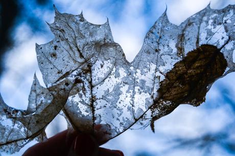 photography / ENDING WINTER photography / ENDING WINTER