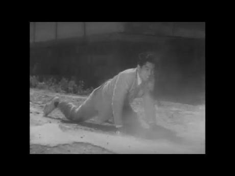 A gagner une édition exceptionnelle DVD / Blu-ray du film « Chien Enragé »