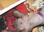 3/3/2016 Marie-Claire 1993