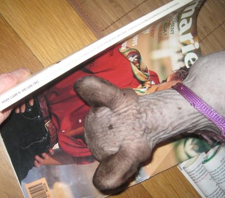 marie claire 1993.JPG