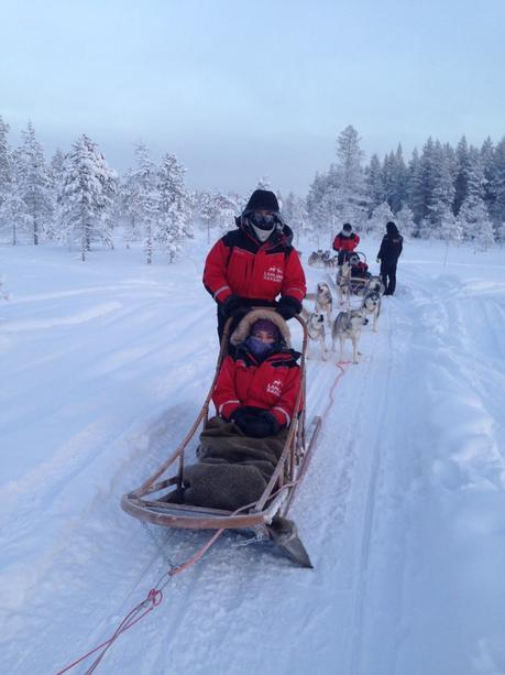 Envie #172 : Faire du chien de traineau en Laponie ! laponie rovaniemi finlande