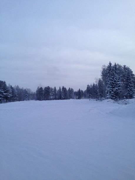 Envie #172 : Faire du chien de traineau en Laponie ! laponie rovaniemi finlande