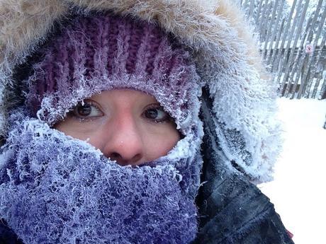 Envie #172 : Faire du chien de traineau en Laponie ! laponie rovaniemi finlande