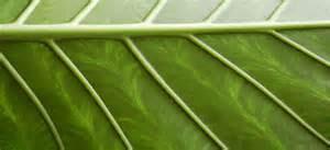 L'attention portée sur la respiration avec Jacques Castermane