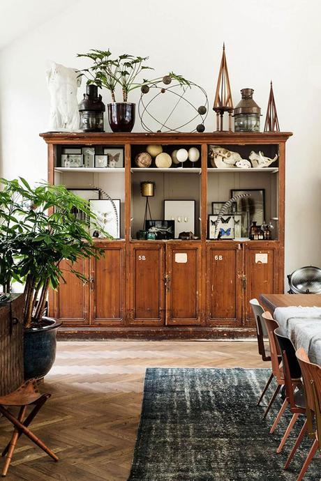 Le cabinet de curiosités | elephant in the room