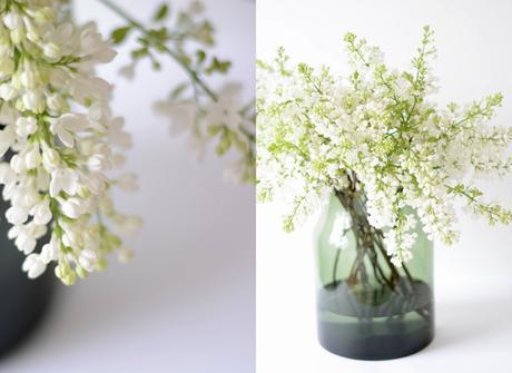 Inspired by #76 Inspired by #76