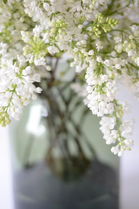 Inspired by #76 Inspired by #76