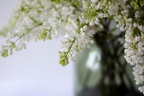 Inspired by #76 Inspired by #76