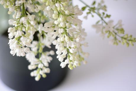 Inspired by #76 Inspired by #76