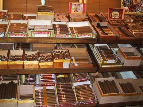 La Civette le Lotus rue de l’Arcade