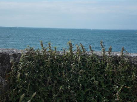 foire à l'outil âge